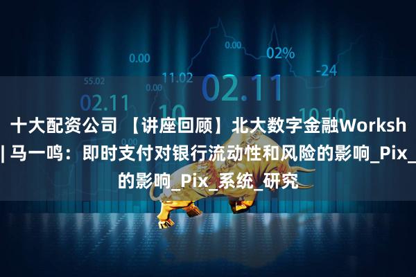 十大配资公司 【讲座回顾】北大数字金融Workshop第六讲 | 马一鸣：即时支付对银行流动性和风险的影响_Pix_系统_研究